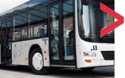 School-bus