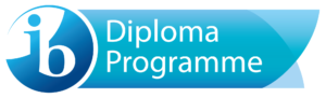 dp-programme-logo