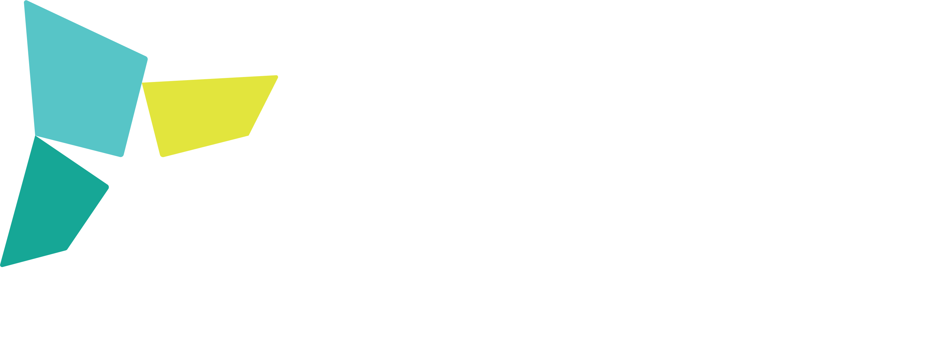 47596_acg_queenstown_-_logo_white_-_with_tagline.png