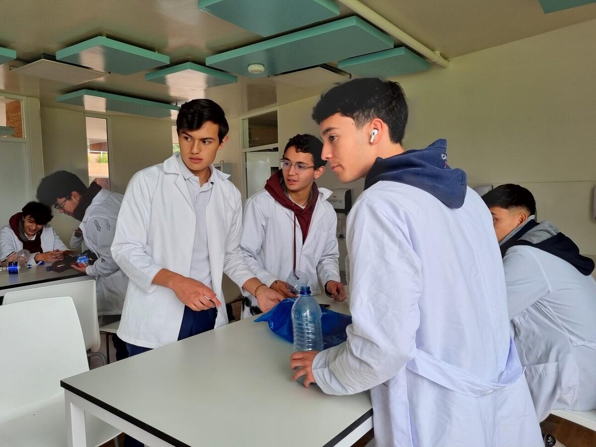 asignaturas_del_curriculo_de_cambridge asignaturas_del_curriculo_de_cambridge