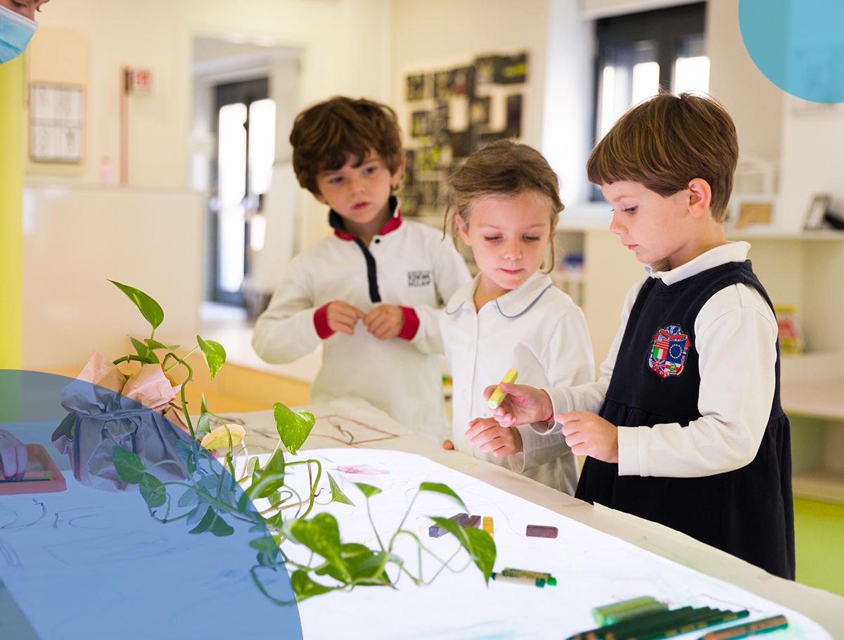 Kiddy-gallery-plants