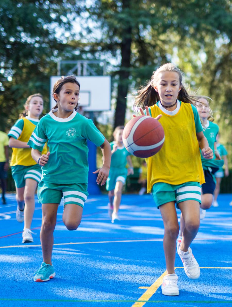 sports-kids-court-ball sports-kids-court-ball